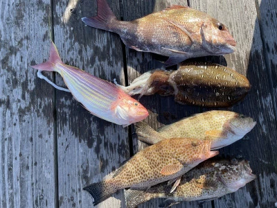 真珠・山本釣り筏の2026年2月21日(土)4枚目の写真