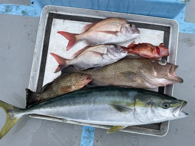 真珠・山本釣り筏の2026年2月22日(日)1枚目の写真