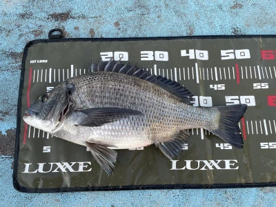 真珠・山本釣り筏の2026年2月23日(月)1枚目の写真