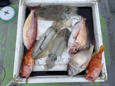 真珠・山本釣り筏の2026年2月24日(火)1枚目の写真