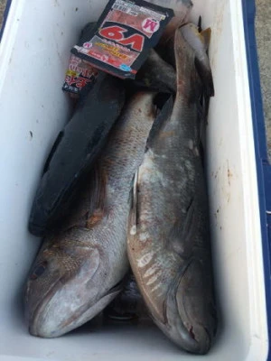 中山総合釣センター・海遊の2026年2月21日(土)3枚目の写真