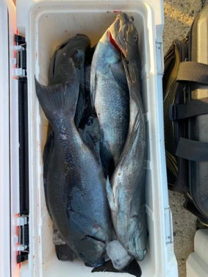 丸銀釣りセンターの2026年2月22日(日)4枚目の写真