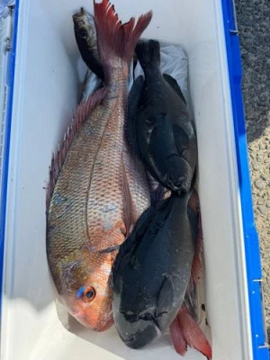 金盛丸の2026年2月21日(土)1枚目の写真