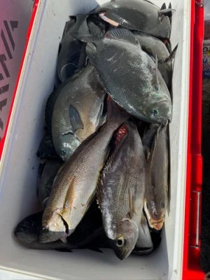 金盛丸の2026年2月21日(土)2枚目の写真