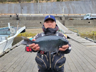 正丸の2026年2月20日(金)1枚目の写真