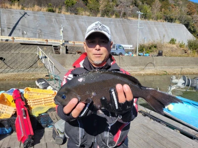 正丸の2026年2月18日(水)1枚目の写真