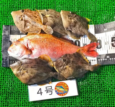 三重外湾漁協 錦事業所直営 釣り筏の2026年2月21日(土)1枚目の写真