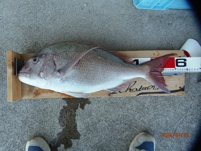 奥田つり具店の2026年2月19日(木)1枚目の写真