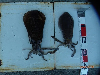 奥田つり具店の2026年2月20日(金)2枚目の写真