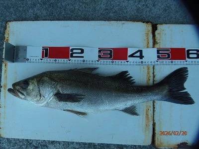 奥田つり具店の2026年2月20日(金)3枚目の写真