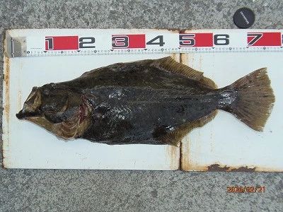 奥田つり具店の2026年2月21日(土)1枚目の写真