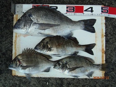 奥田つり具店の2026年2月22日(日)1枚目の写真