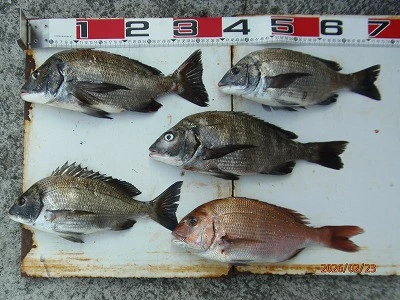 奥田つり具店の2026年2月23日(月)1枚目の写真