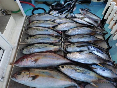 幸丸の2026年2月5日(木)2枚目の写真