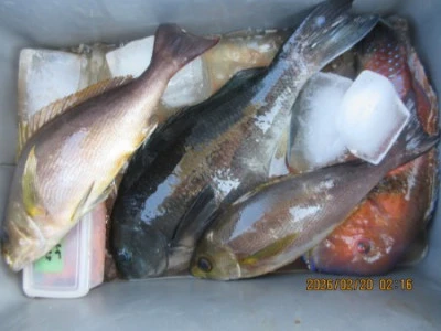 末光渡船の2026年2月20日(金)1枚目の写真