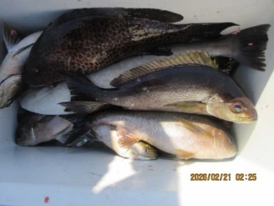 末光渡船の2026年2月21日(土)1枚目の写真