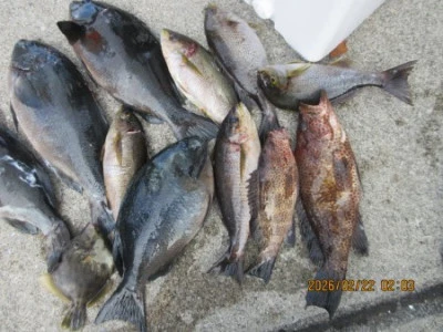 末光渡船の2026年2月22日(日)1枚目の写真