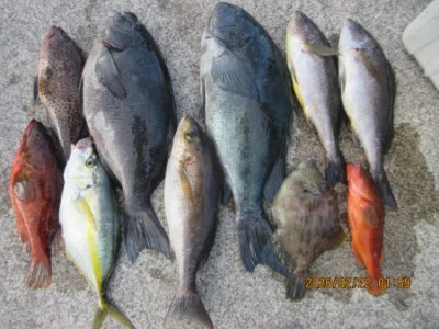 末光渡船の2026年2月22日(日)2枚目の写真