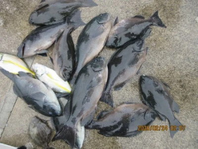 末光渡船の2026年2月24日(火)1枚目の写真