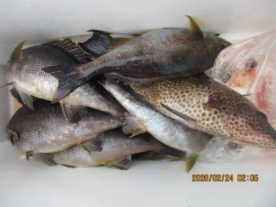 末光渡船の2026年2月24日(火)2枚目の写真