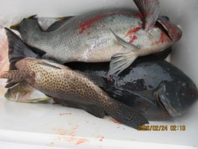 末光渡船の2026年2月24日(火)3枚目の写真