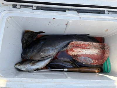 ながはま渡船の2026年2月20日(金)1枚目の写真