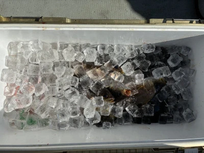 ながはま渡船の2026年2月20日(金)3枚目の写真