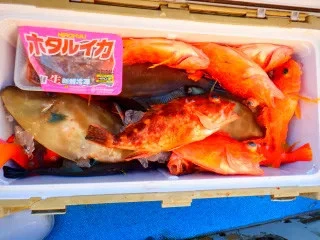 せきおう丸の2026年2月15日(日)4枚目の写真