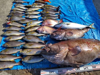 裕徳丸の2026年2月21日(土)2枚目の写真