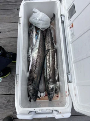 フィッシングセンター 海友の2026年2月15日(日)4枚目の写真