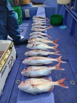 美喜丸の2026年2月24日(火)1枚目の写真