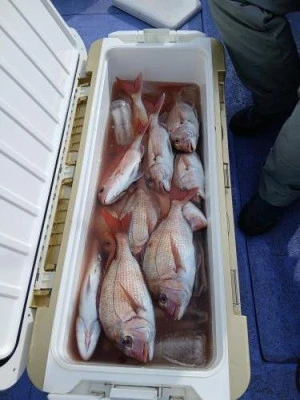 美喜丸の2026年2月24日(火)2枚目の写真