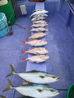 美喜丸の2026年2月21日(土)1枚目の写真