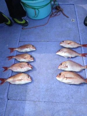 美喜丸の2026年2月20日(金)2枚目の写真