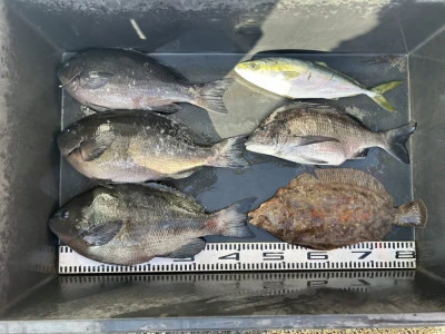 前田渡船の2026年2月22日(日)1枚目の写真