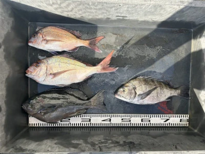 前田渡船の2026年2月22日(日)2枚目の写真