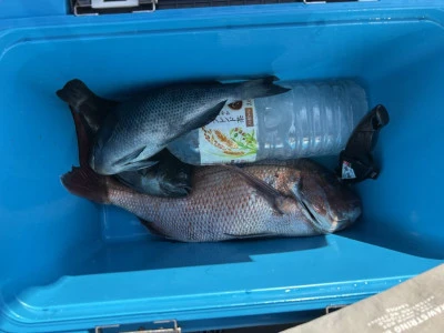 前田渡船の2026年2月21日(土)4枚目の写真