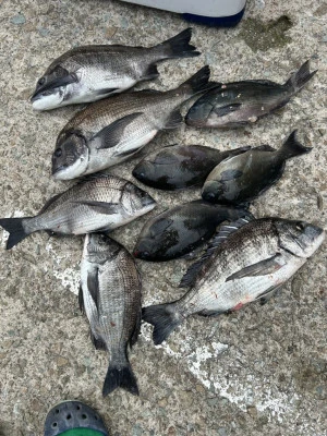 前田渡船の2026年2月14日(土)4枚目の写真