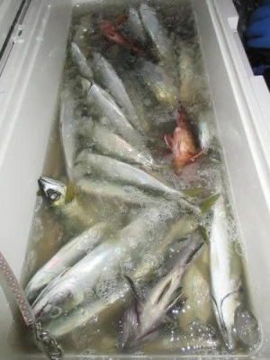 鈴木釣具店の2026年2月23日(月)1枚目の写真