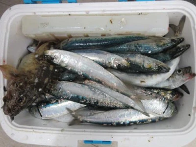 鈴木釣具店の2026年2月22日(日)1枚目の写真