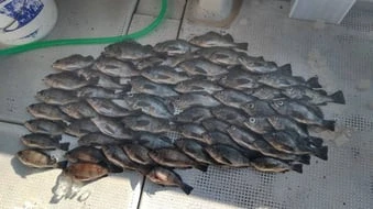 珠里丸の2026年2月19日(木)1枚目の写真