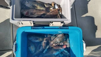 珠里丸の2026年2月18日(水)1枚目の写真