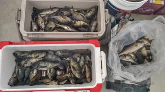 珠里丸の2026年2月16日(月)1枚目の写真