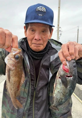 さくらの2026年2月26日(木)1枚目の写真