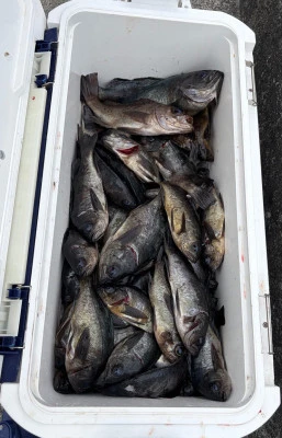 さくらの2026年2月26日(木)2枚目の写真