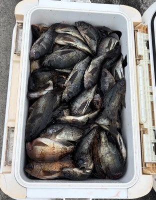 さくらの2026年2月26日(木)3枚目の写真