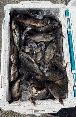 さくらの2026年2月20日(金)1枚目の写真