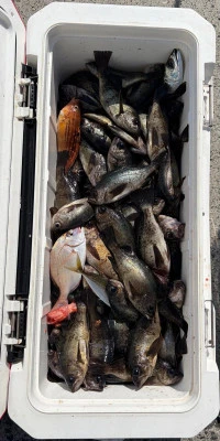 さくらの2026年2月20日(金)2枚目の写真