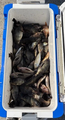 さくらの2026年2月20日(金)3枚目の写真