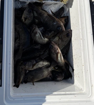 さくらの2026年2月20日(金)4枚目の写真